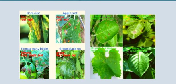Plant Disease Detection using Image Recognition